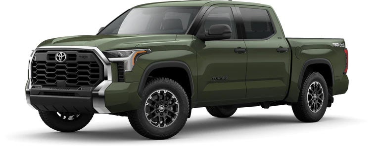 2022 Toyota Tundra SR5 in Army Green | Fordham Toyota in Bronx NY